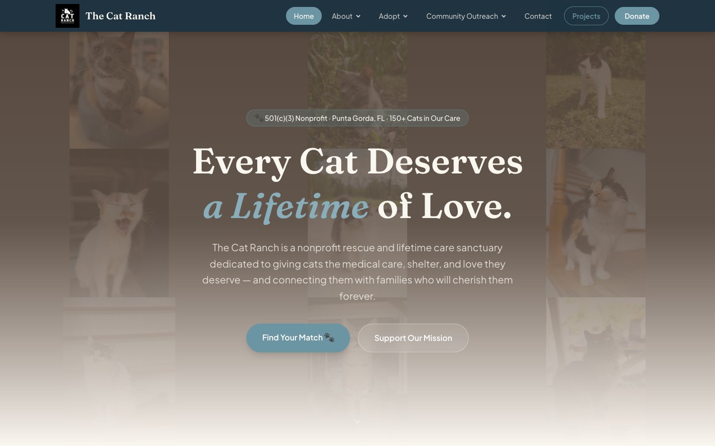 The Cat Ranch website homepage